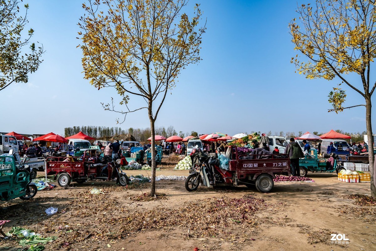 西海岸泊里大集纪实