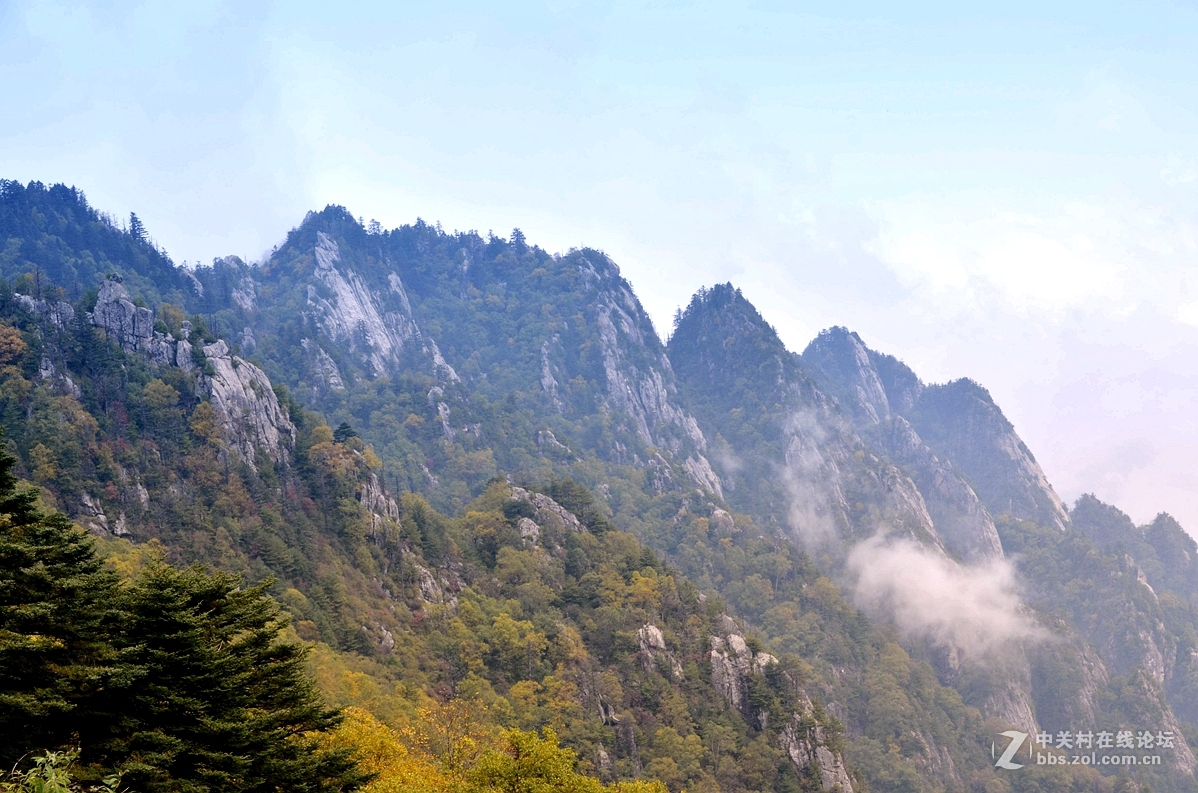 一个人的太白山8——归根之前再绽放(尾篇,13P),敬请指导!祝各位周末愉快!-中关村在线摄影论坛