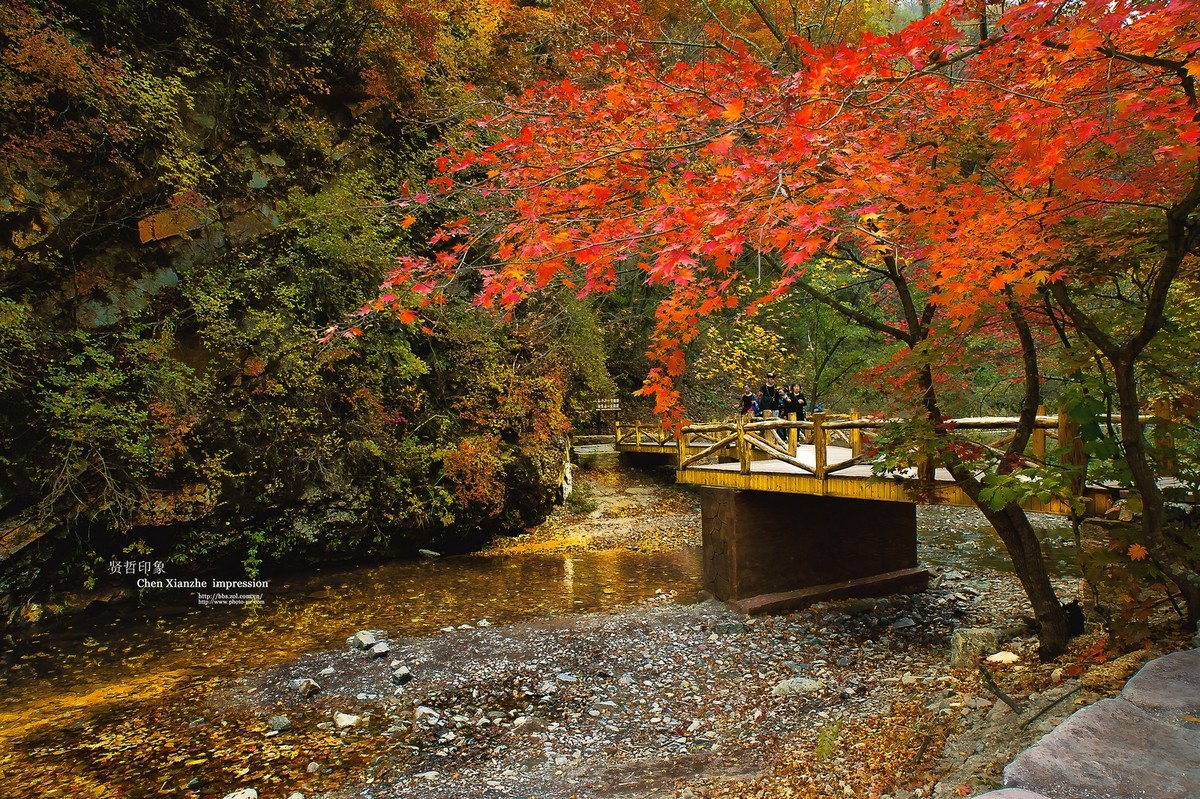 【秋意浓】-- 卡尔·蔡司Carl Zeiss Distagon T* 21mm f/2.8 ZF 2 的慢门表现！！