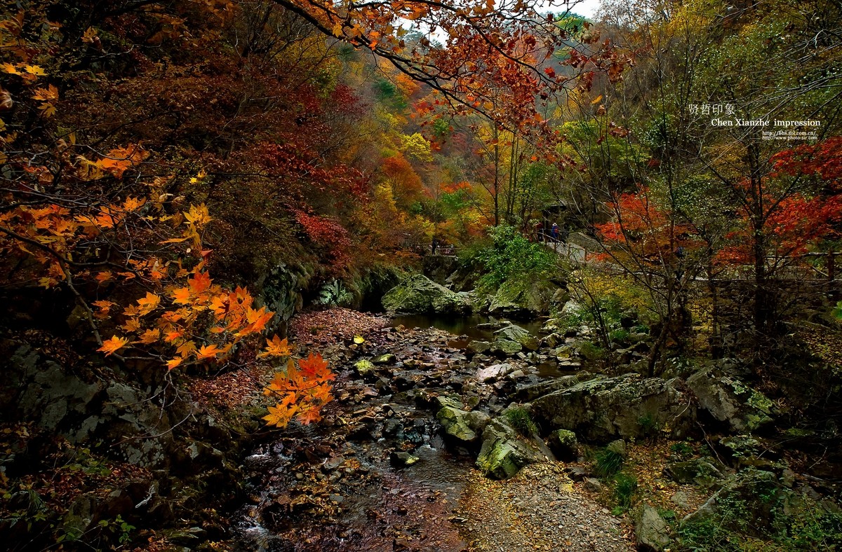 【秋意浓】-- 卡尔·蔡司Carl Zeiss Distagon T* 21mm f/2.8 ZF 2 的慢门表现！！