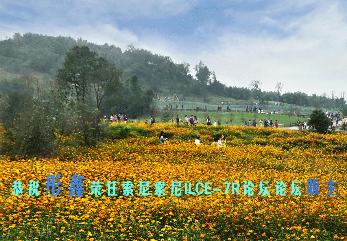 恭祝彤鑫荣任 索尼ILCE-7R星空(中国)版  .  版主！