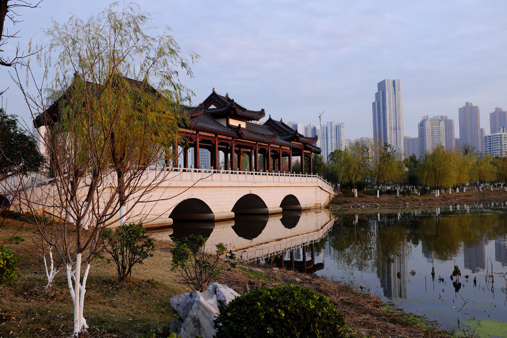 下班途中的沙湖