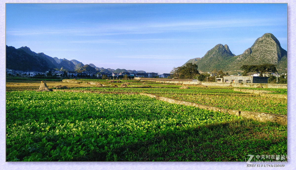 冬日冬景（续   手机版）