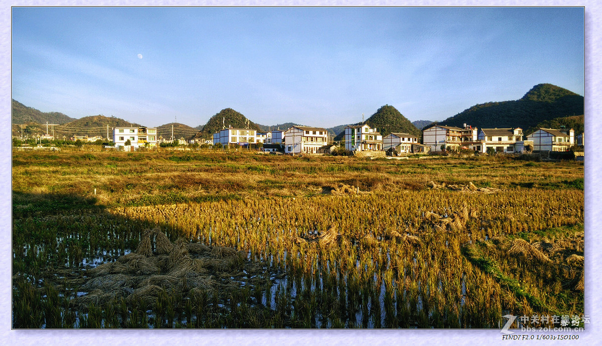 冬日冬景（续   手机版）