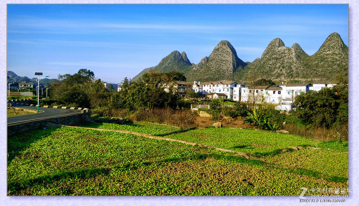 冬日冬景（续   手机版）