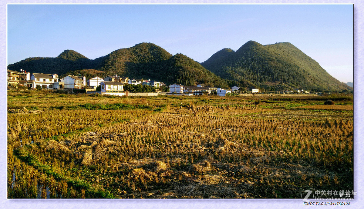 冬日冬景（续   手机版）