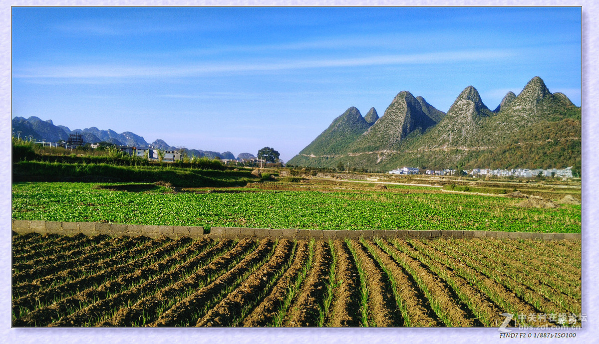 冬日冬景（续   手机版）