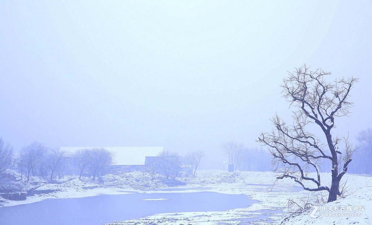 雪中的西溪湿地