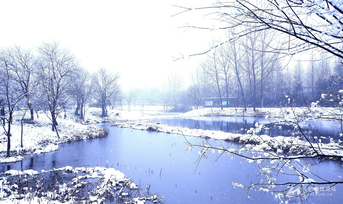 雪中的西溪湿地