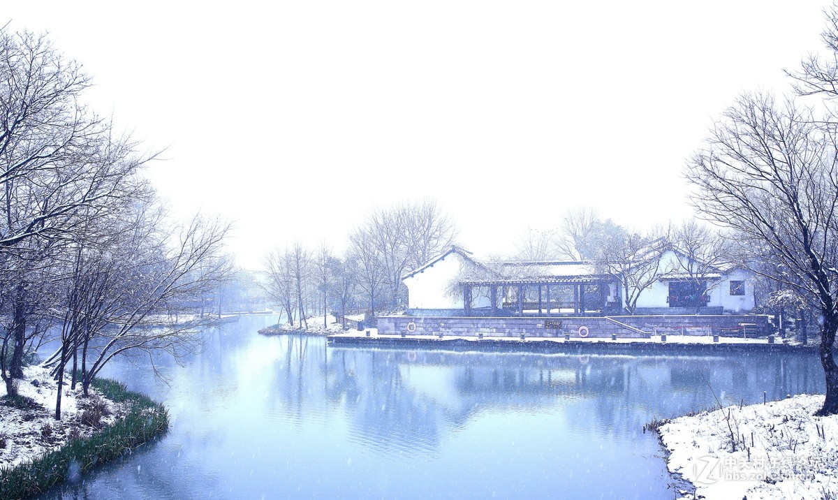 雪中的西溪湿地
