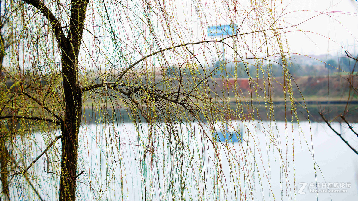 NEX6+LA-EA4转接环+DT50F1.8试拍