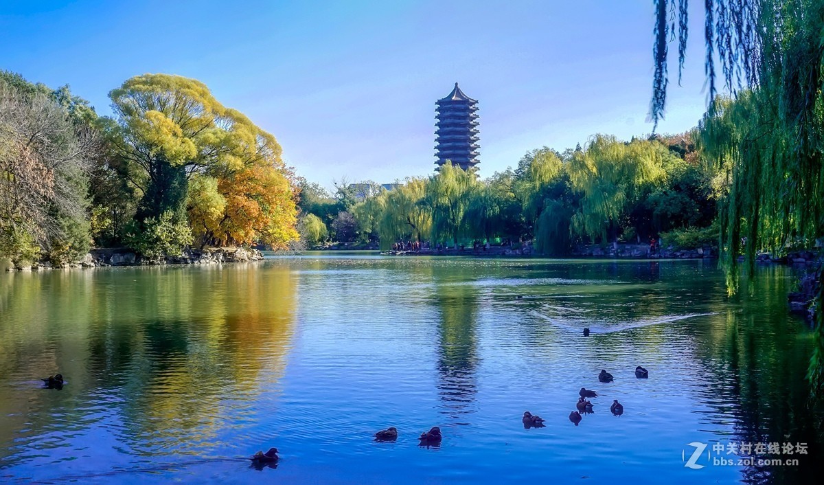 未名湖畔拍秋意