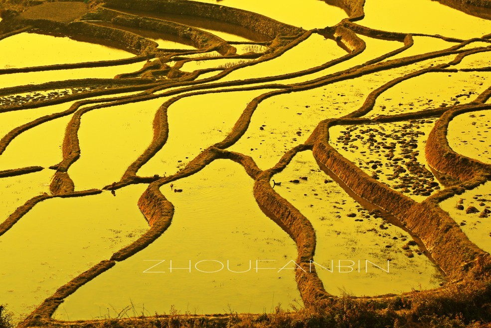 江山多娇一一【二】