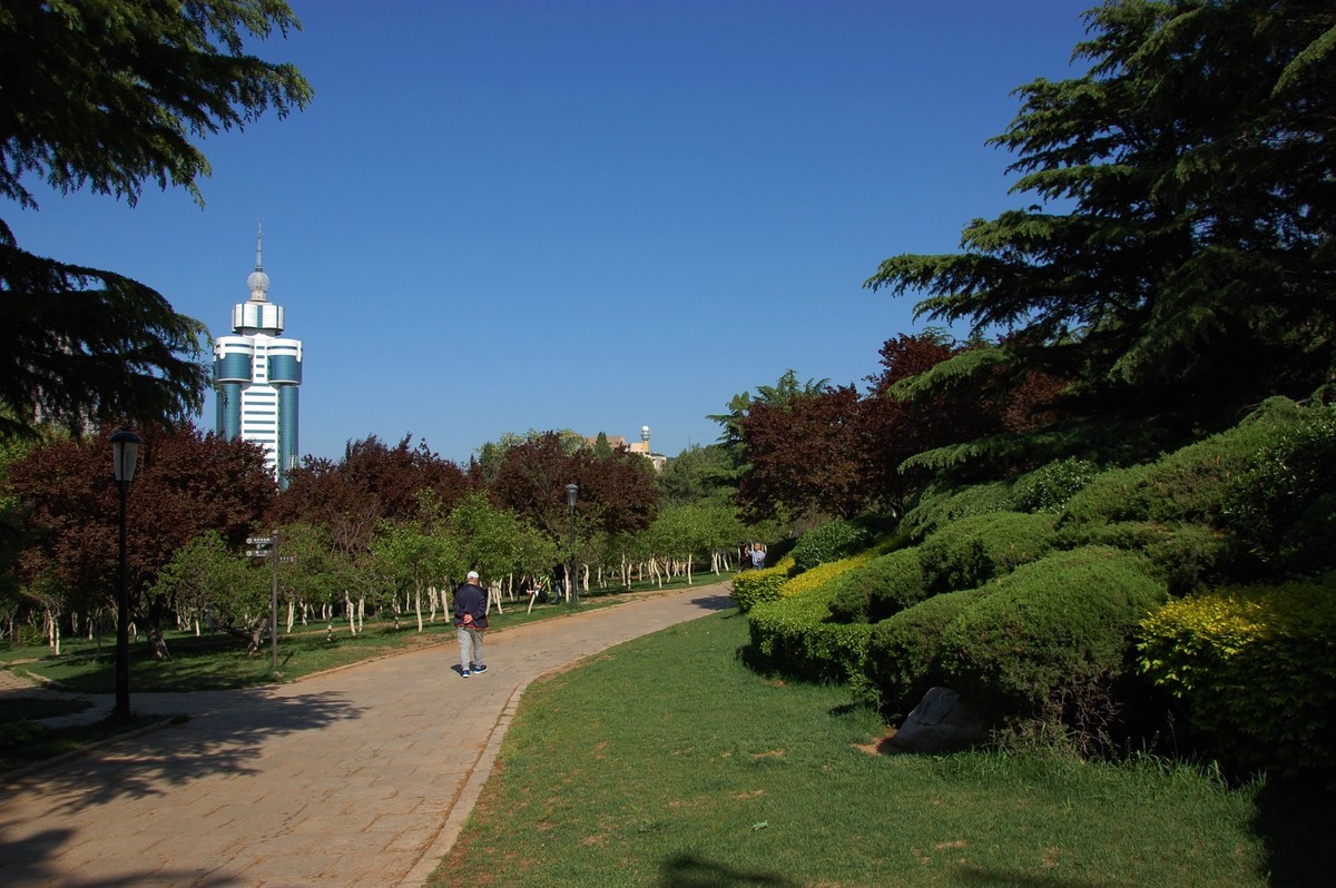 阳光、蓝天、公园随拍