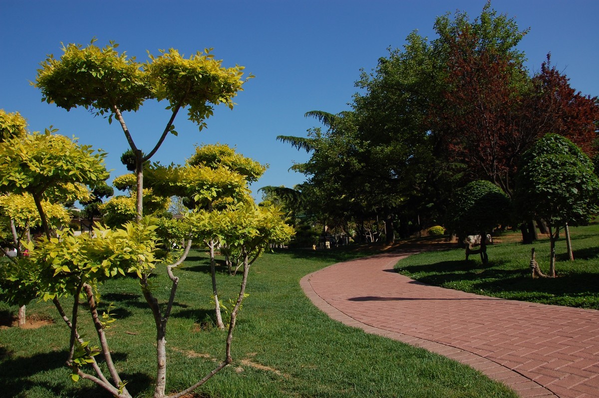 阳光、蓝天、公园随拍