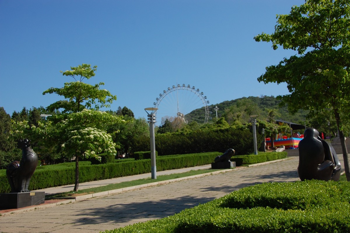 阳光、蓝天、公园随拍