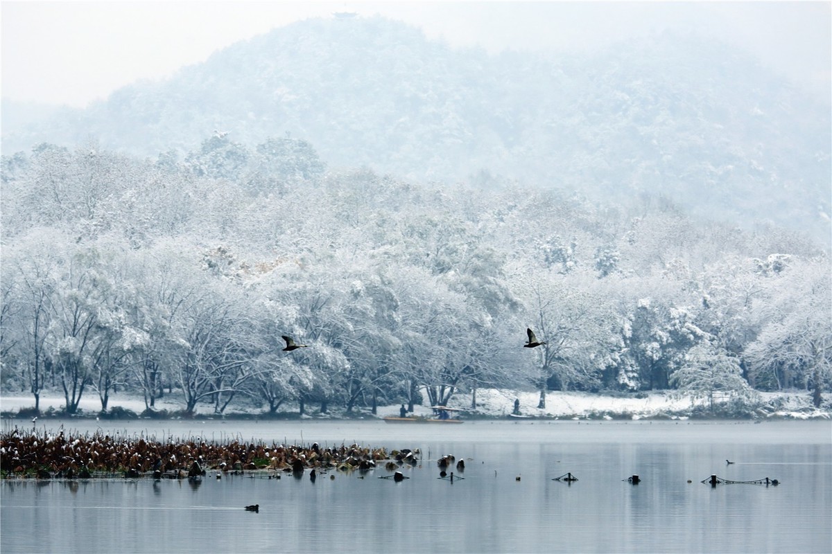 最美不过江南雪！