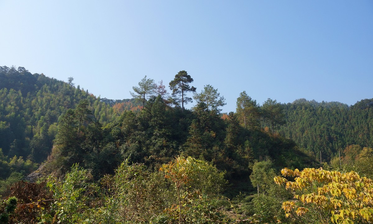 #ZOL月赛晒秋# 皖 南 深 秋 行