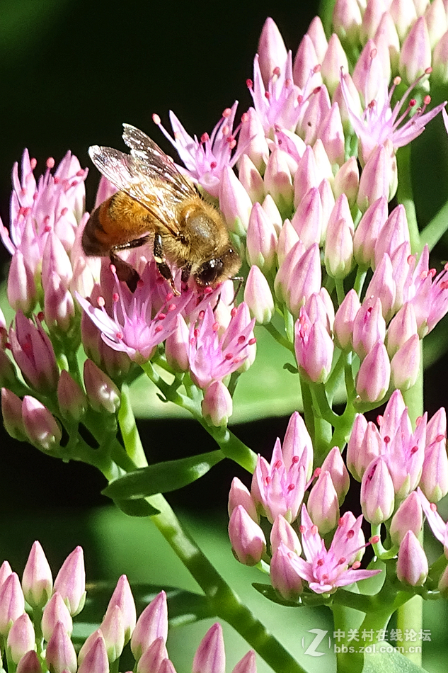 昨天在北植，瞎照了几张。