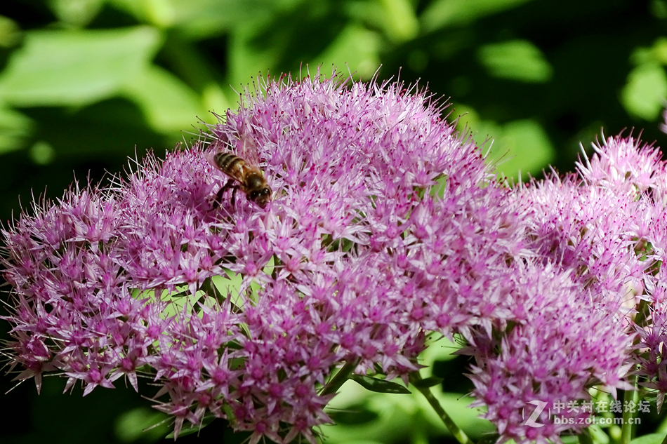 昨天在北植，瞎照了几张。