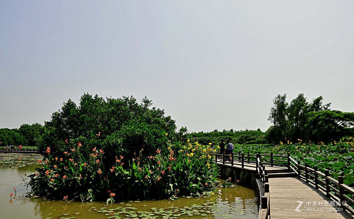 南沙湿地公园门票(南沙湿地公园门票一日游)