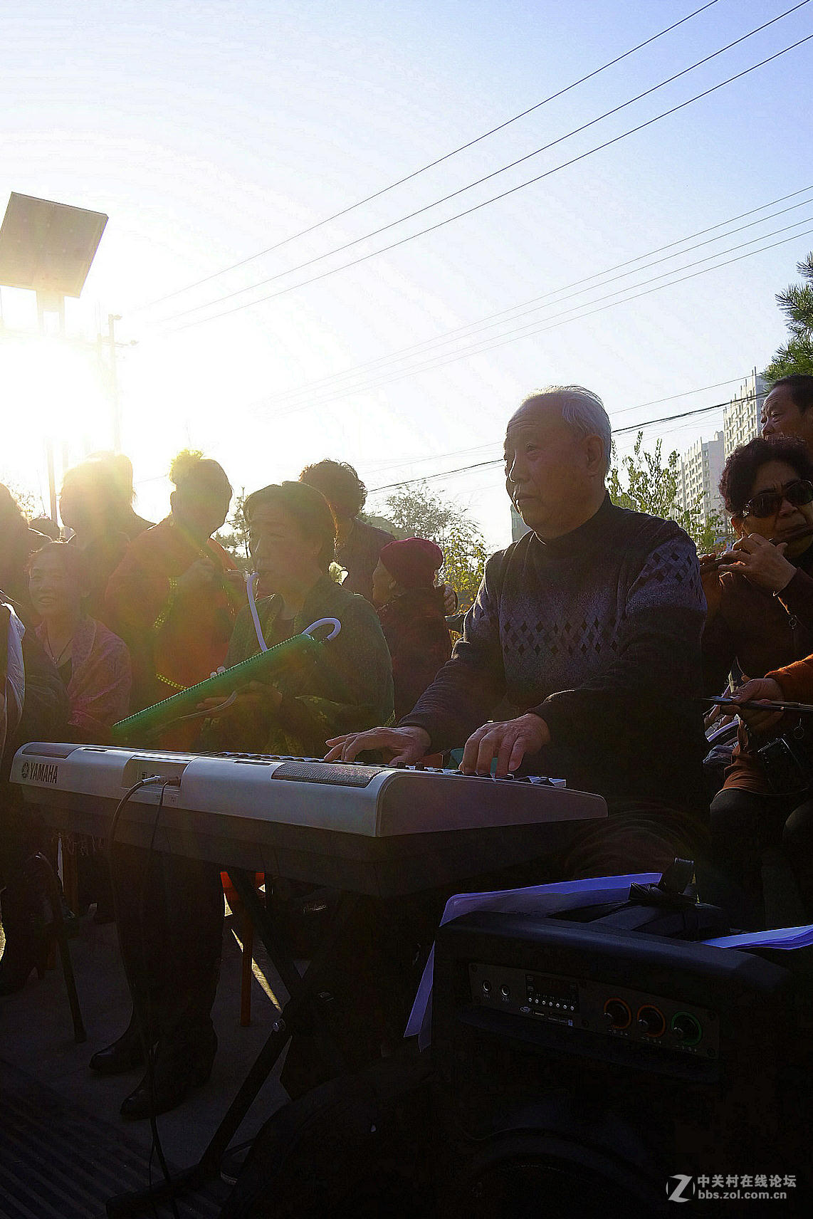 老年艺术演出。。。。。。。。。。