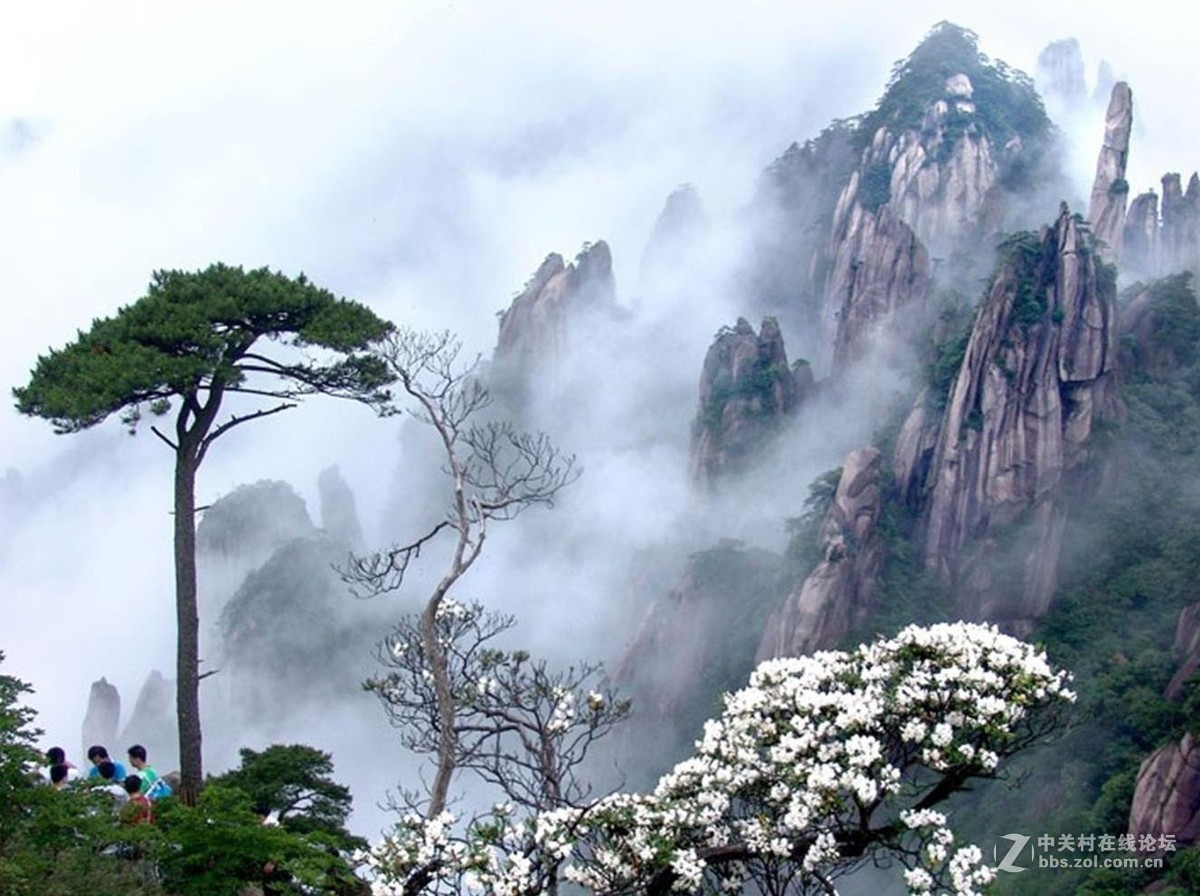 月朦胧鸟朦胧，云里雾里梦幻中（02）