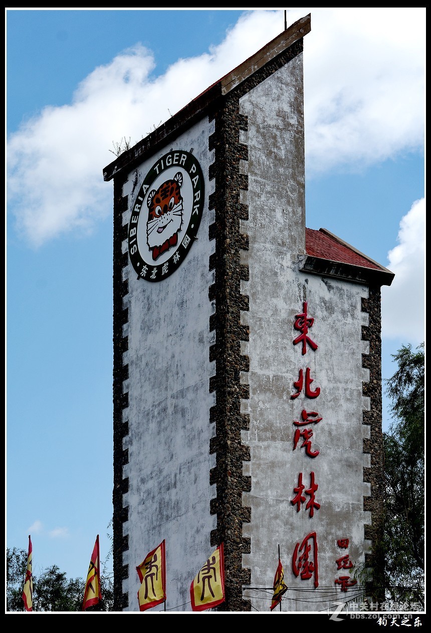 虎东北虎林园