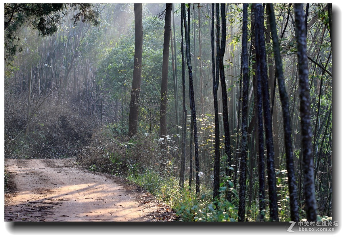 #佳能EOS M6感受温暖冬日#_四川的暖冬