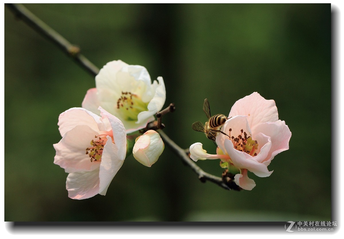 #佳能EOS M6感受温暖冬日#_四川的暖冬