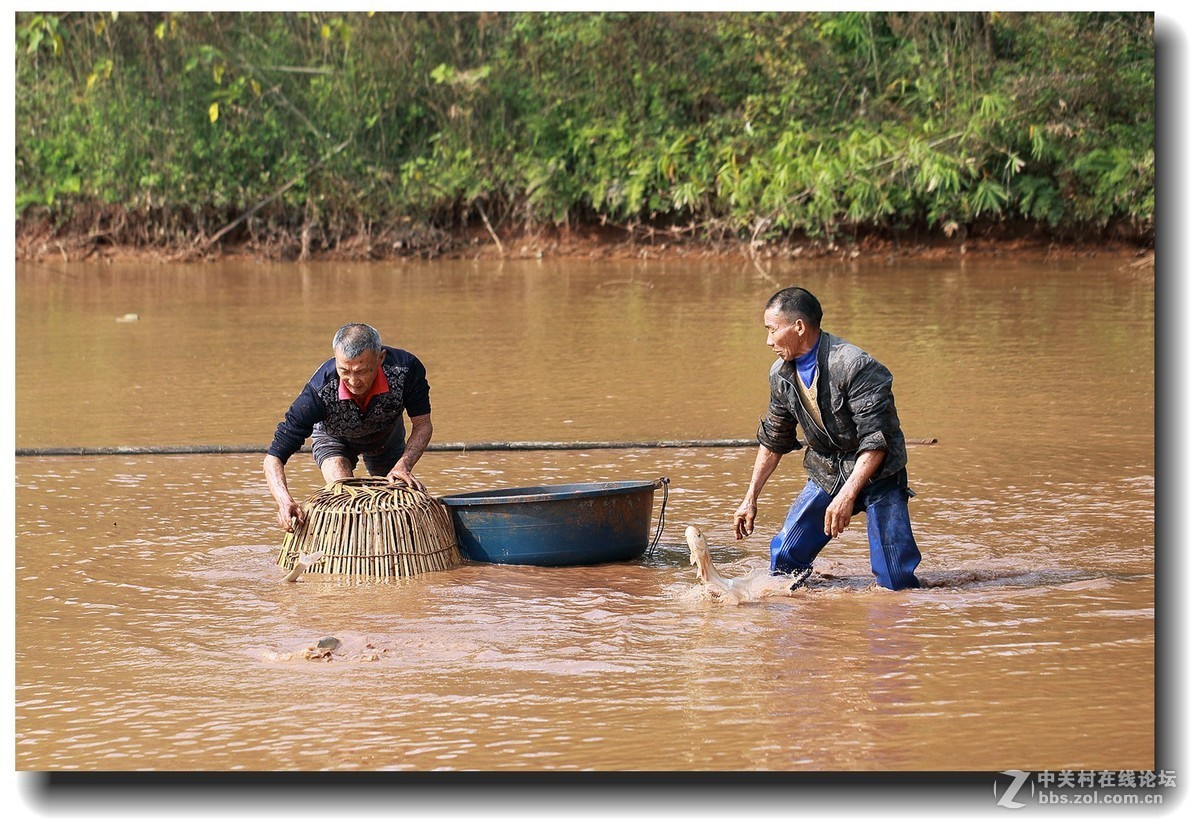 #佳能EOS M6感受温暖冬日#_四川的暖冬