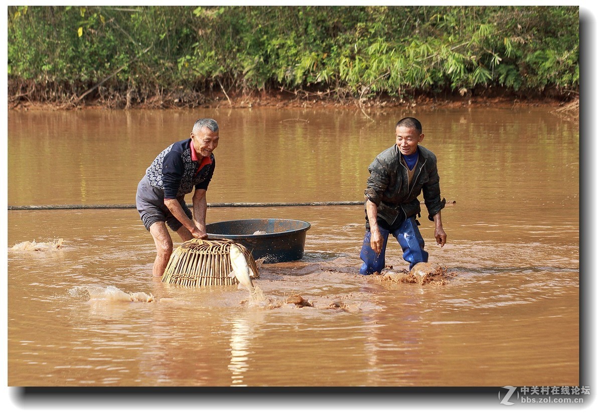 #佳能EOS M6感受温暖冬日#_四川的暖冬