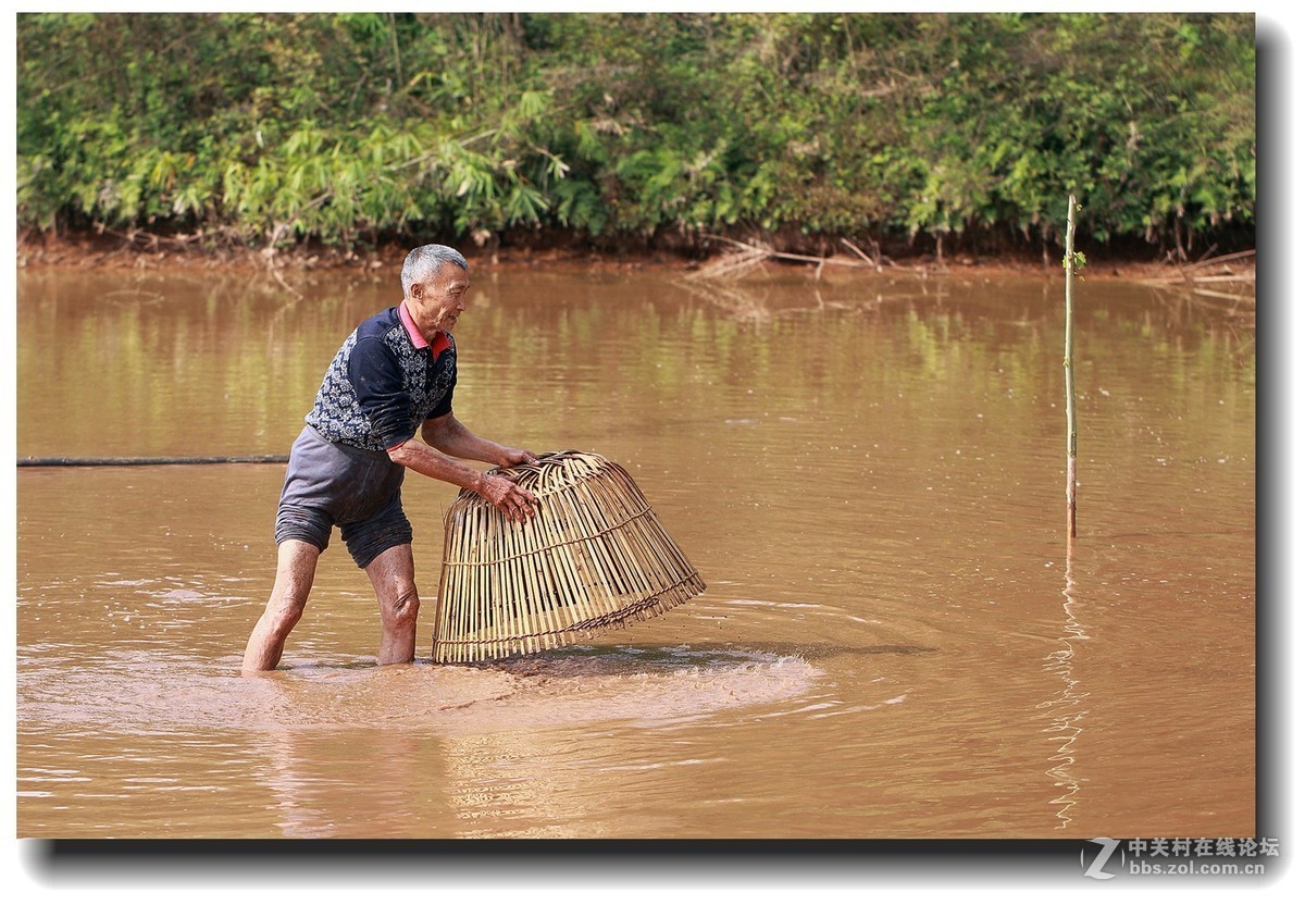 #佳能EOS M6感受温暖冬日#_四川的暖冬