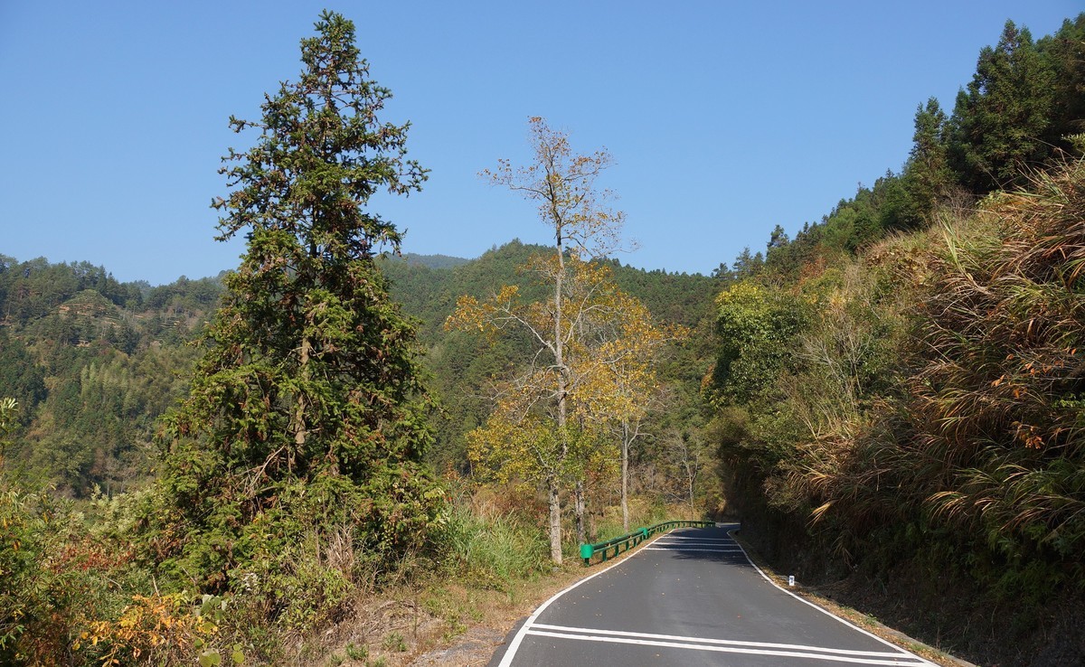 #ZOL月赛晒秋# 皖 南 深 秋 行