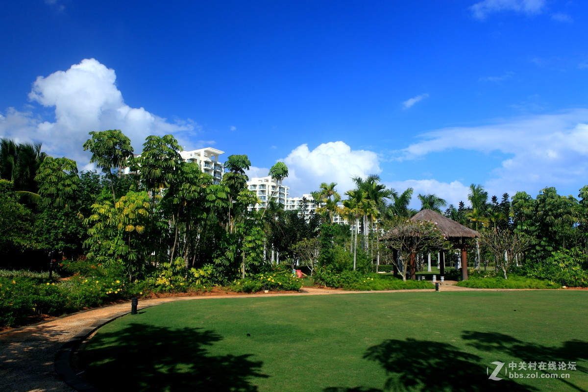 《铜嶺》风光—续