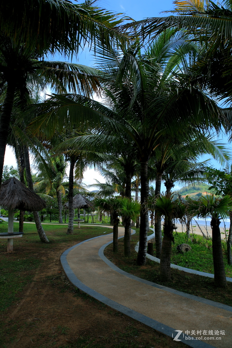 《铜嶺》风光—续