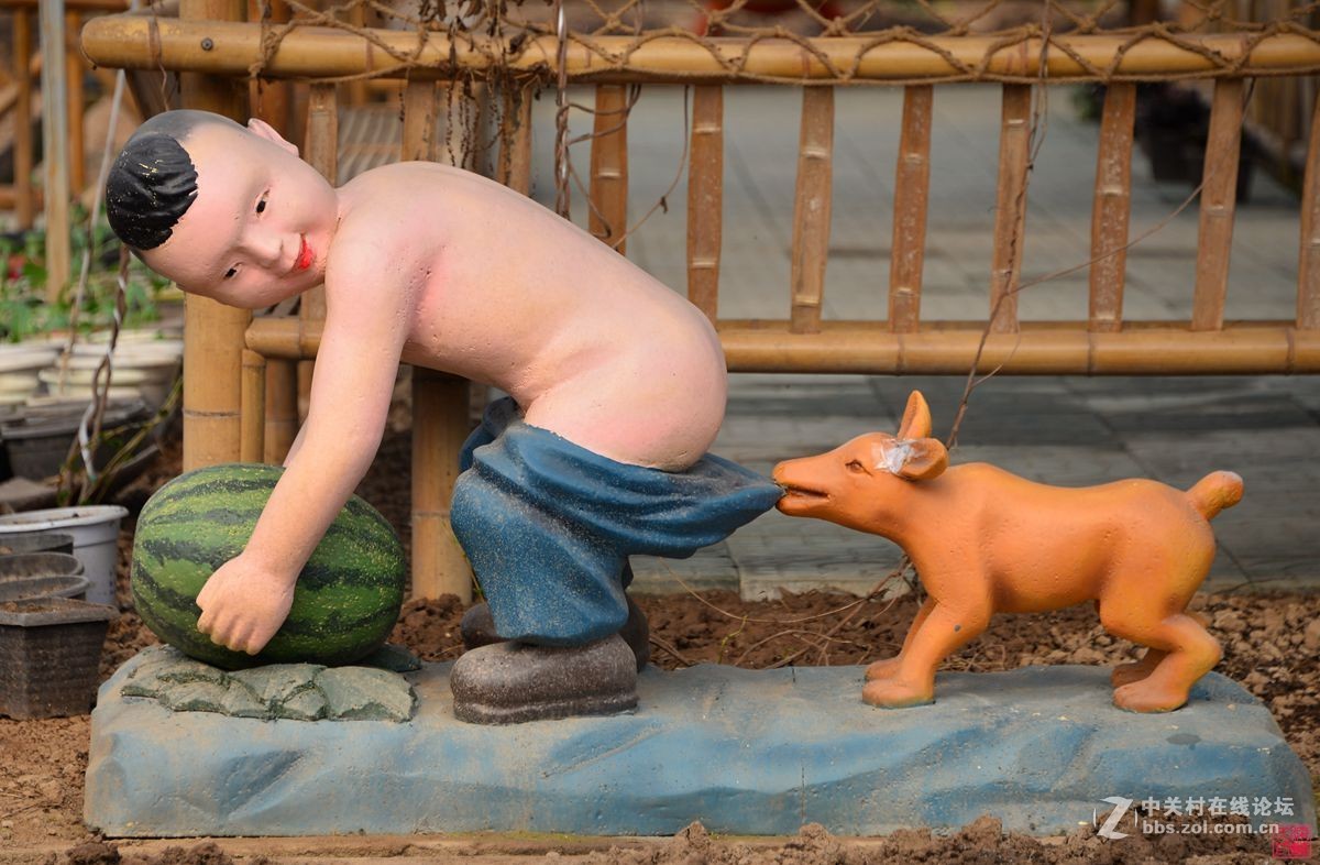 沐春风挖野菜观农趣