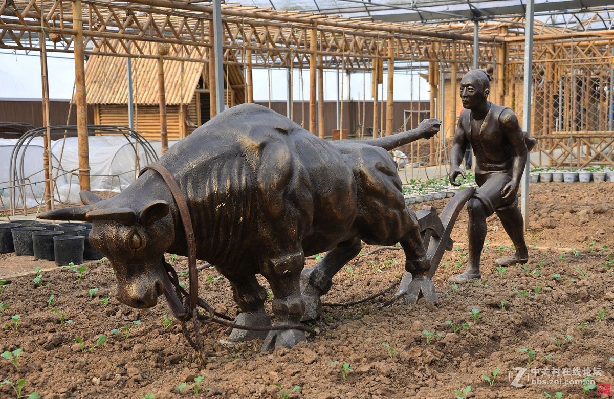 沐春风挖野菜观农趣