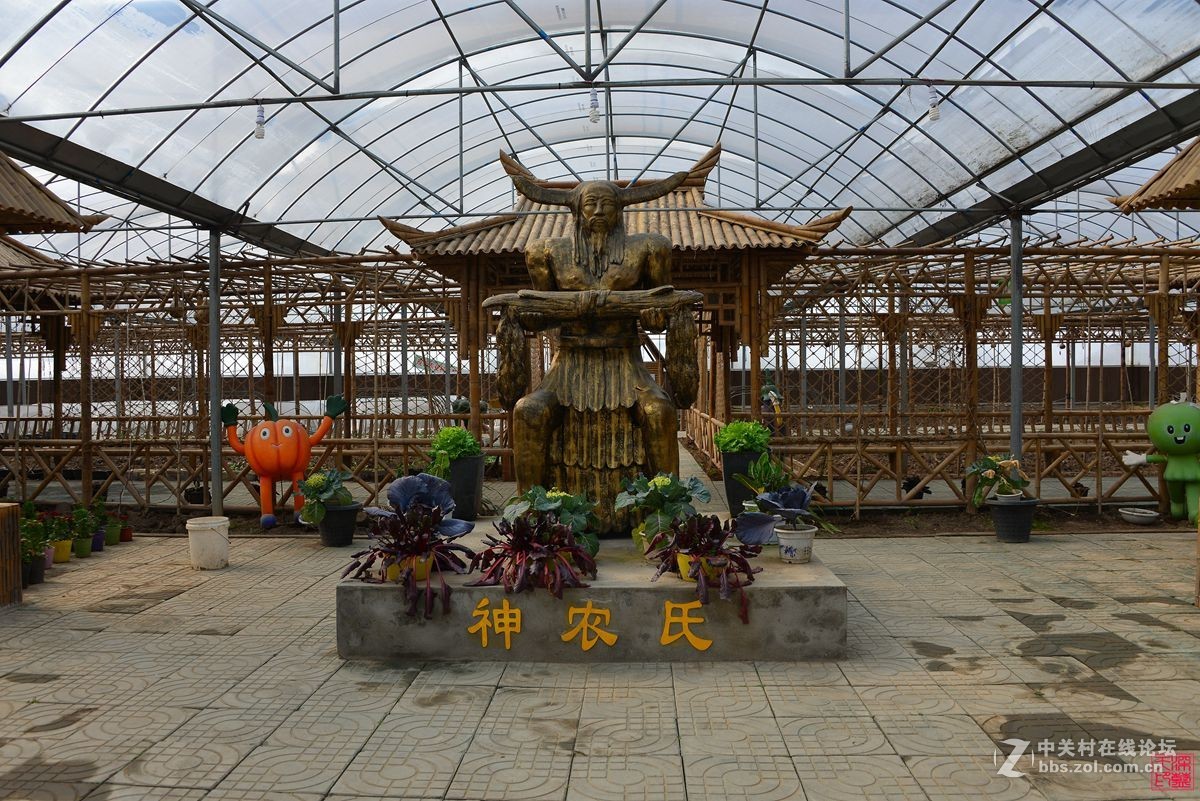 沐春风挖野菜观农趣