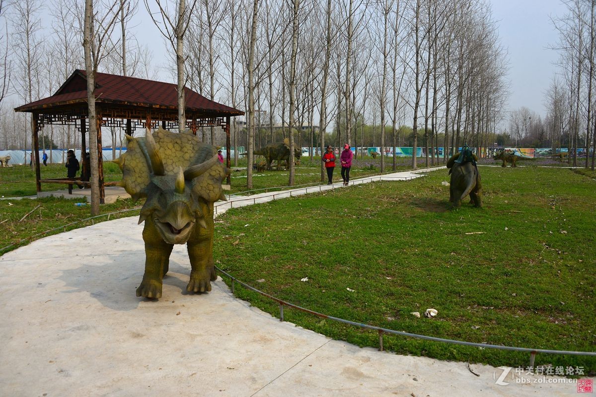 沐春风挖野菜观农趣