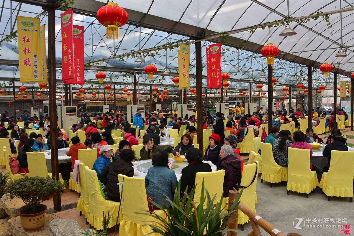 沐春风挖野菜观农趣