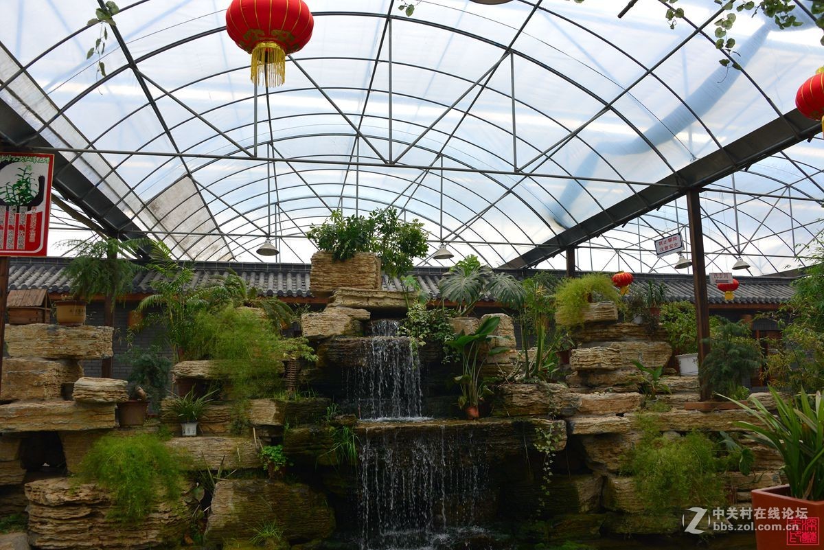 沐春风挖野菜观农趣