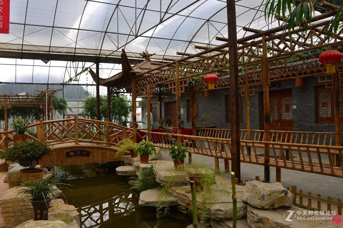 沐春风挖野菜观农趣