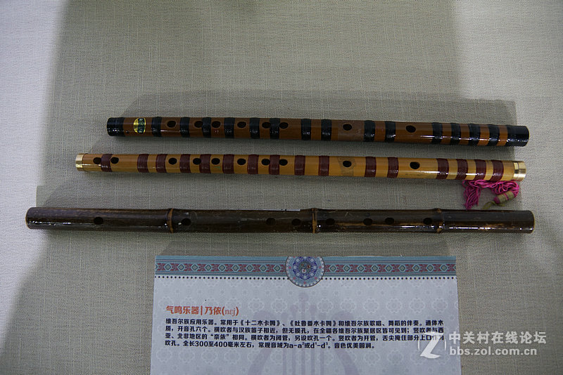 史上最全新疆民族特色乐器展《三》