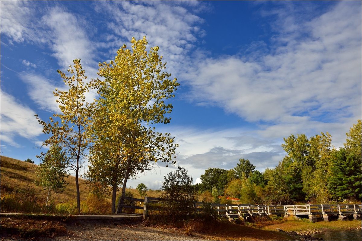 休闲随拍（316）