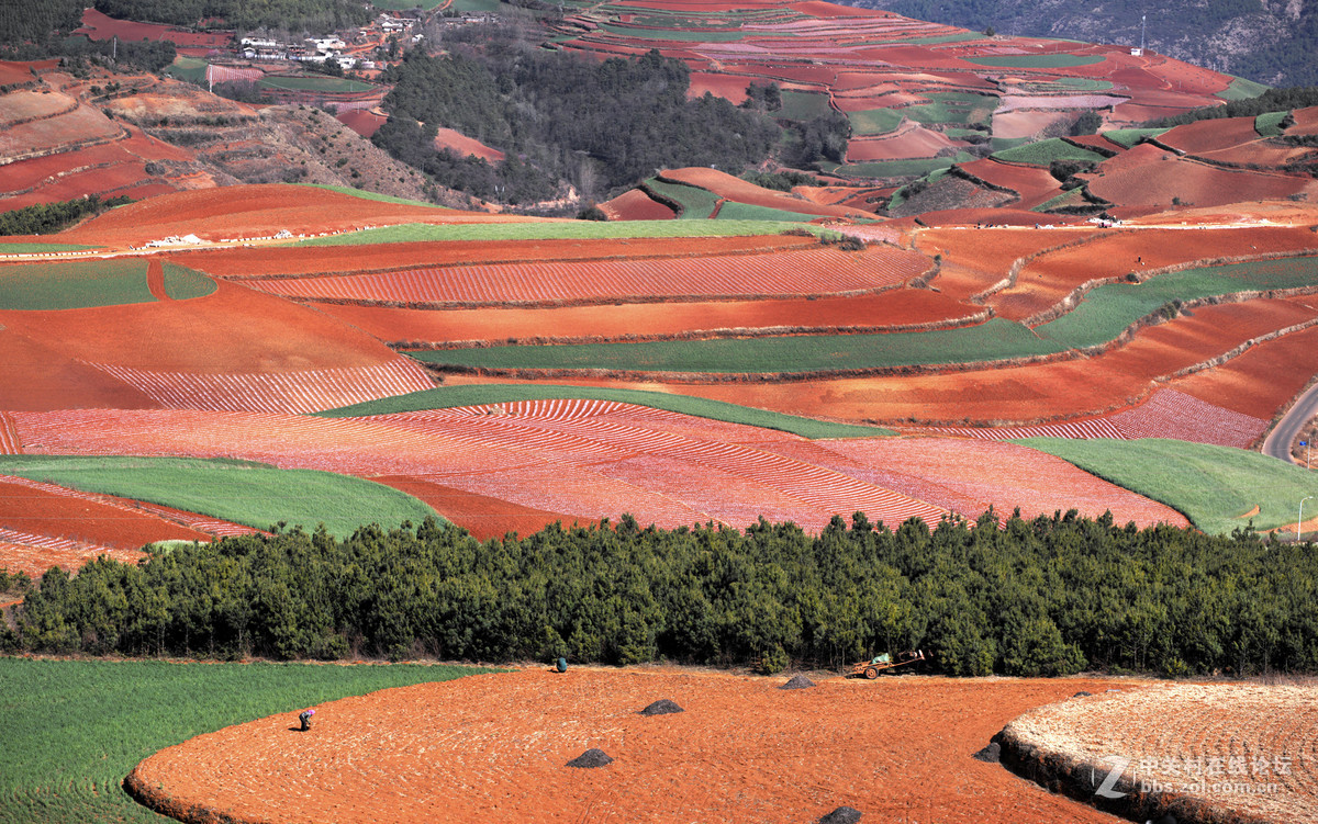 云南  红土地