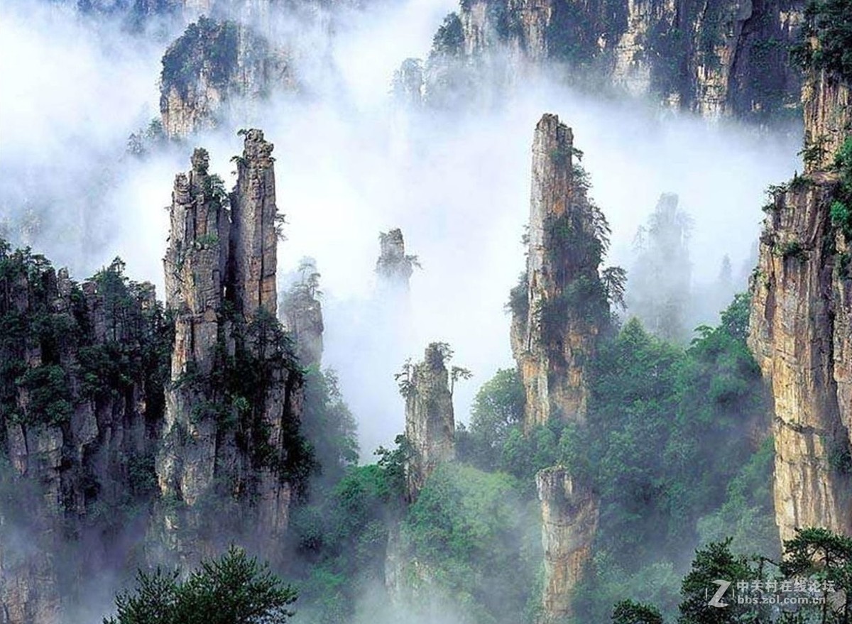 月朦胧鸟朦胧，云里雾里梦幻中（02）