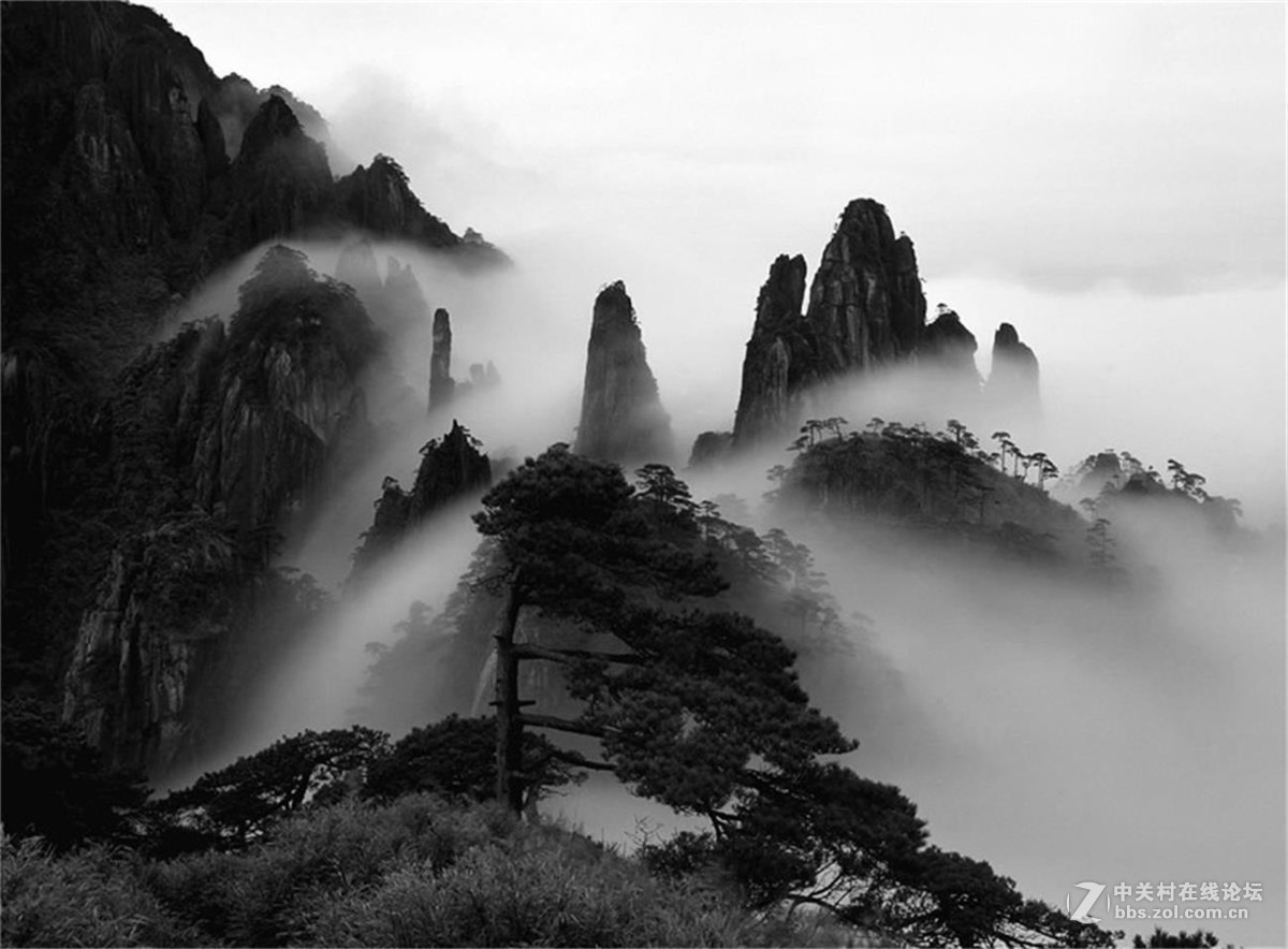 月朦胧鸟朦胧，云里雾里梦幻中（02）