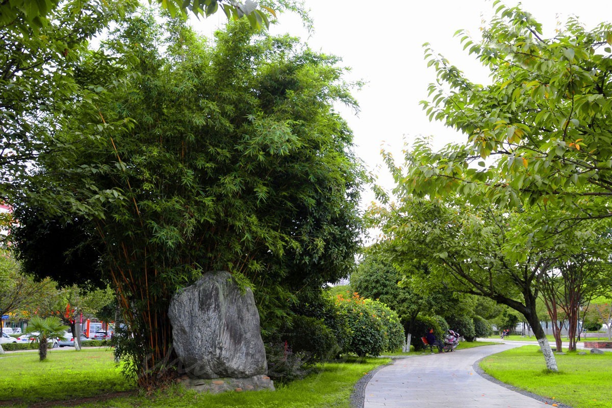 汉中南郑县的大河坎