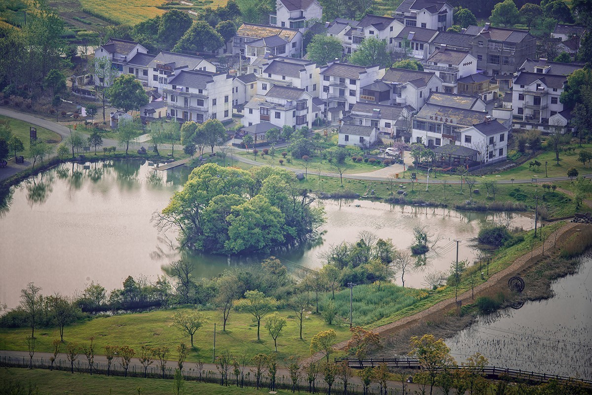 慢城春色